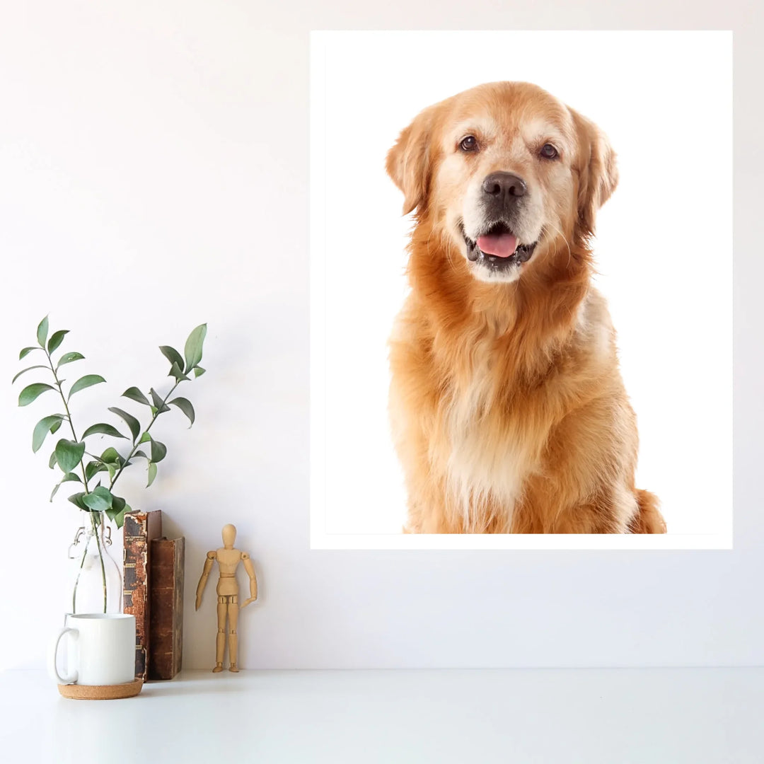 White - 4_5 ratio (16x20)