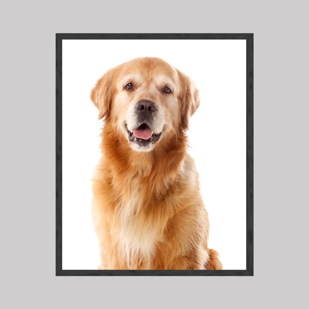 Black 2 - 4_5 ratio (16x20)