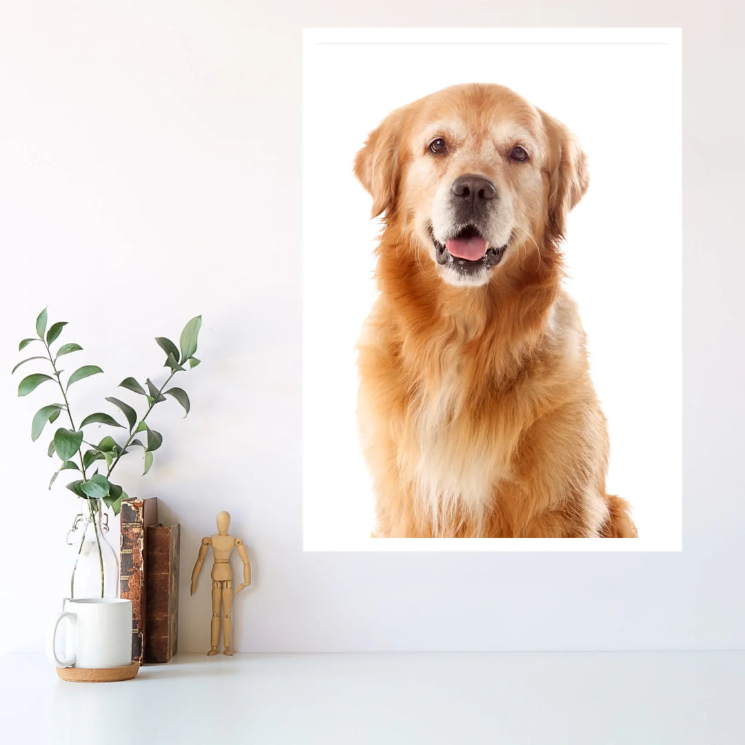 White - 5_7 ratio (20x28)