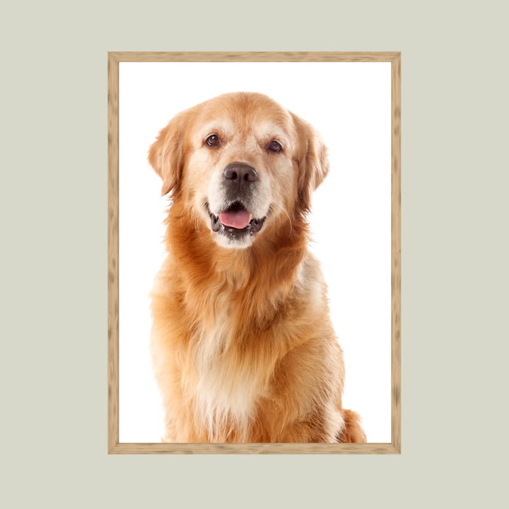 Brown 1 - 5_7 ratio (20x28)