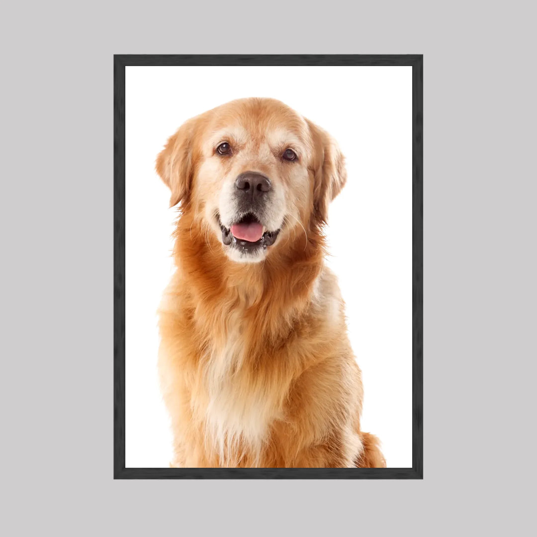 Black 2 - 5_7 ratio (20x28)