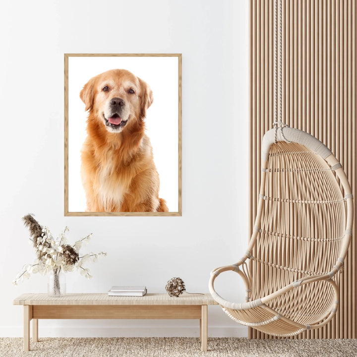 Brown 2 - 3_4 ratio (A3 & A4)