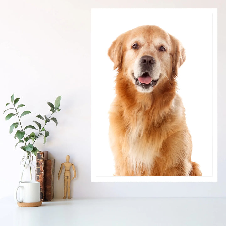 White - 3_4 ratio (A3 & A4)