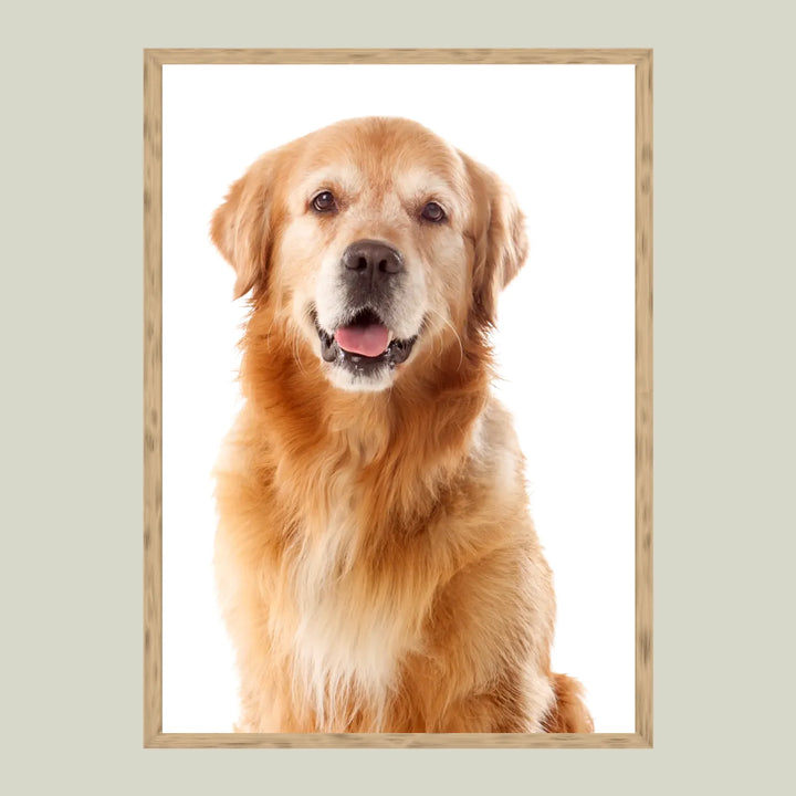 Brown 1 - 3_4 ratio (A3 & A4)