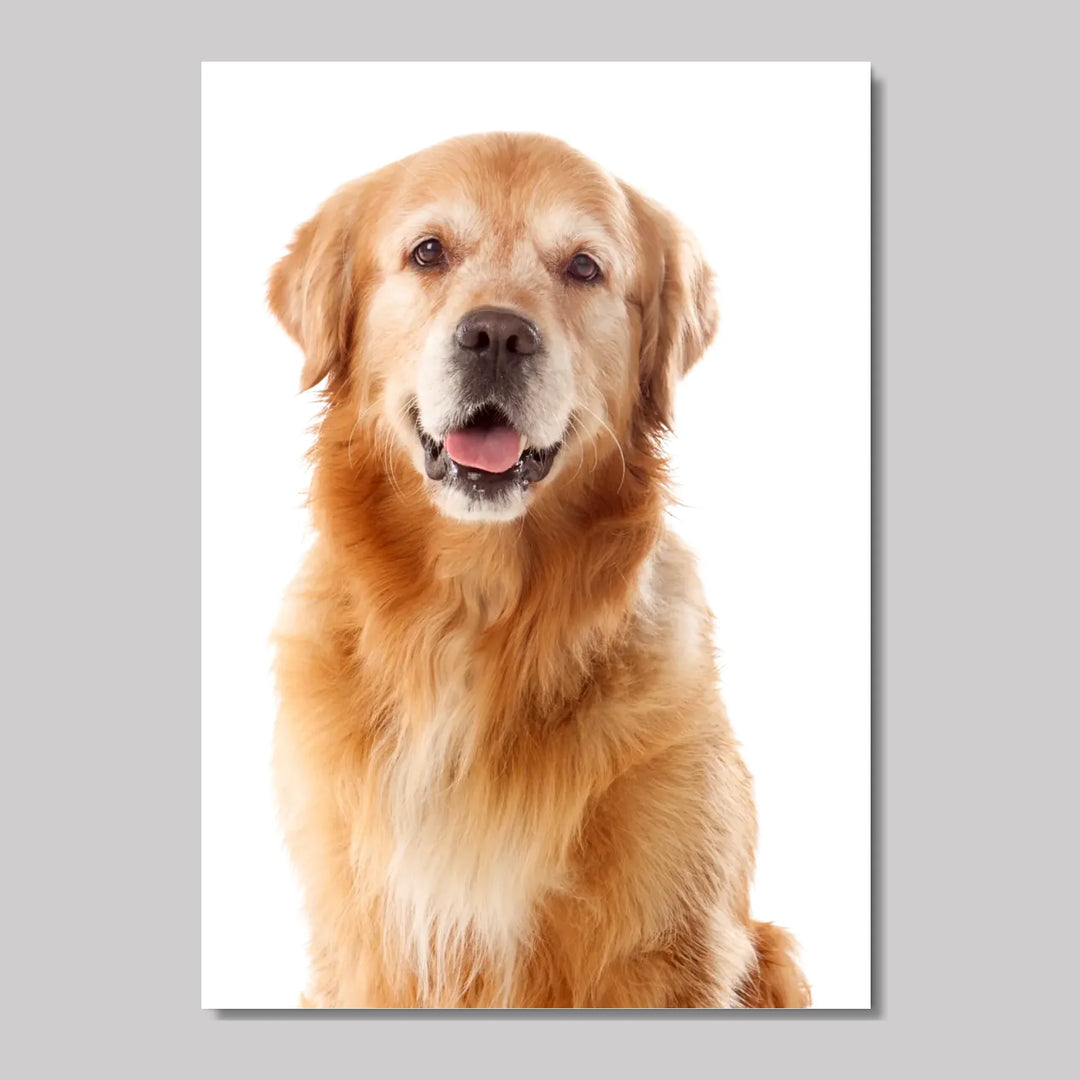 Revised Mockup 6 Por (A1) 