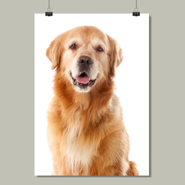 Revised Mockup-Portrait-Gray